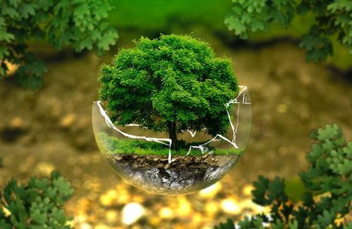 環境采樣是什么意思