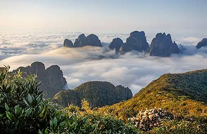 金秀環(huán)境檢測(cè)-金秀第三方檢測(cè)機(jī)構(gòu) 金秀環(huán)境檢測(cè)-金秀第三方檢測(cè)機(jī)構(gòu)